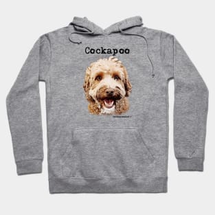 Golden Apricot Cockapoo / Spoodle and Doodle Dog Hoodie